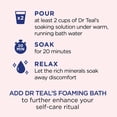 thumbnail image 4 of Sales perfumadas para baño Dr. Teal's pink himalayan 1.36 kg, 4 of 9