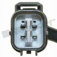 thumbnail image 4 of Walker Camshaft Position Sensor 235-1304 OE Replacement; With Mounting Bracket, 4 of 4