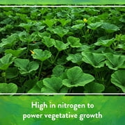 Down to Earth Bat Guano Fertilizer 7-3-1, 25 lbs.