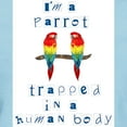 thumbnail image 3 of CafePress - I'm A Parrot Women's Pink T Shirt - Women's Classic T-Shirt, 3 of 4