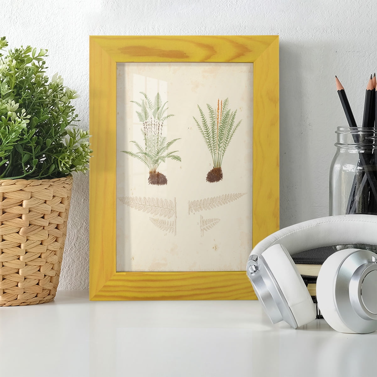 Fern Study III -Framed Print w/glass-Sunflower Yellow