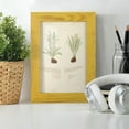 thumbnail image 6 of Fern Study III -Framed Print w/glass-Sunflower Yellow, 6 of 8