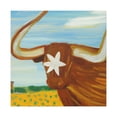 thumbnail image 1 of Lonely Texas Longhorn - Canvas, 1 of 10