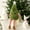 green, variant on Christmas Tree Plush Doll with Star Topper, Cute Long Leg Striped Xmas Stuffed Figurine, Soft Tabletop Holiday Decor, Available in Green & White, Christmas Gift for Family