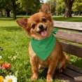 thumbnail image 4 of PremiumPetTowelScarf for Cats and Dogs Towel Design with Versatile Triangular Bib Style for Indoor Outdoor Use, 4 of 5