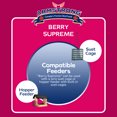 thumbnail image 6 of Armstrong Wild Bird Food Berry Supreme Suet Cake, 10.6oz, 6 of 7