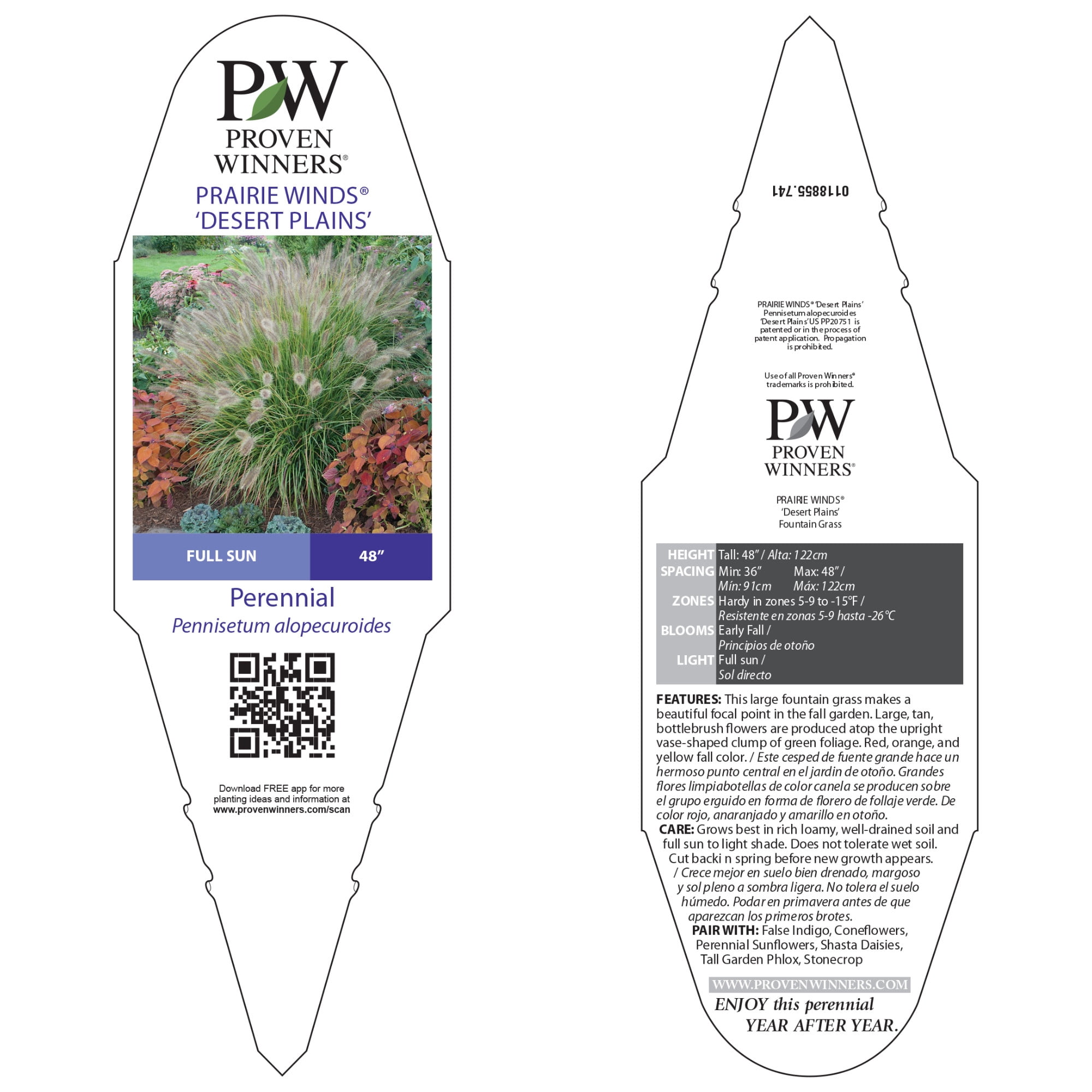 Proven Winners 6" Prairie Winds 'Desert Plains' Fountain Grass Live Plant in 6.5" Pot