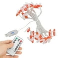 thumbnail image 4 of String Lights, Warm White 3 Meter 20 LEDs Waterproof Fairy String Lights  For Garden, 4 of 8