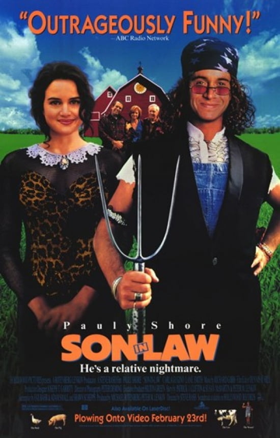 Son in Law Movie Poster (11 x 17)