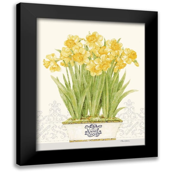 Gladding, Pamela 12x14 Black Modern Framed Museum Art Print Titled - Imperial Daffodils