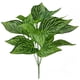 thumbnail image 1 of Inteprter Ramo de hojas de plantas artificiales, simulación de hojas de eneldo verde, ramo de para el hogar y la Oficina, decoración de plantas Plantas Artificiales No.03 Inteprter HA7138-03B, 1 of 6