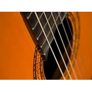 Washburn Classical Series C5 Acoustic Guitar, Rosewood Fretboard, Natural