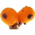thumbnail image 4 of Set of 2 Capybara Puffer Air- Natural Color Filled Squeeze Stress Balls - Large Rodent - Sensory, Stress, Fidget Toy, 4 of 7