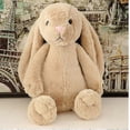 thumbnail image 2 of Easter Bunny Girls Comfort Rabbit Doll Plush Toy For Kid Gift, 2 of 3