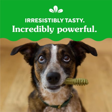 Greenies Original Regular Natural Dental Care Dog Treats, 36 Oz Pack (36 Treats) - Image 2