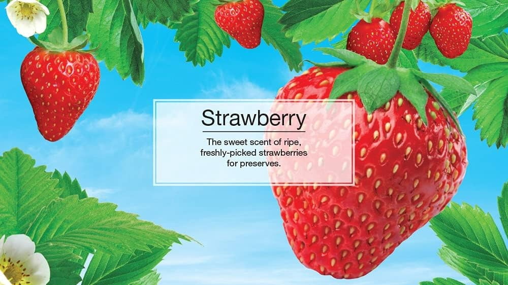 Little Trees Strawberry Scent Car Spray Air Fresheners Non-Aerosol 3.5oz 3 PACK