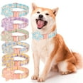 thumbnail image 1 of Meidiya Dog Collar with Detachable Flower for Girl Dog,Puppy Dog Collar Cute Girl Dog Collars with Safety Metal Buckle Adjustable Plaid Dog Collar for Puppy Small Dogs, 1 of 8
