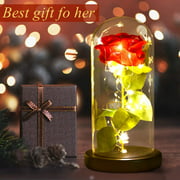 Mom Gifts Glass Red Rose,Red Rose Lights Gift for Wife,Girlfriend Birthday Gift Rose Flower Lamp,Home Decoration Gift for Mom, Wife,Sister Grandma Gifts - image 3 of 7