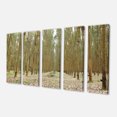 thumbnail image 2 of Rubber Trees Row in Thailand - Modern Forest Canvas Art, 2 of 3