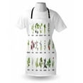 thumbnail image 4 of Herb Apron, Natural Treatment Infographic Scheme with Healthy Plants and Names Herbalism Themed, Unisex Kitchen Bib with Adjustable Neck for Cooking Gardening, Adult Size, Multicolor, by Ambesonne, 4 of 4