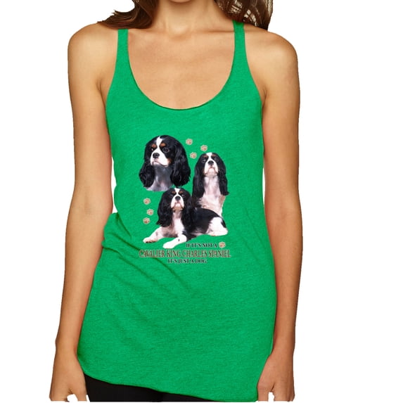 Wild Bobby, If It's Not a Cavalier King Charles Spaniel It's Just a Dog Gift | Womens Dog Lover Premium Tri-Blend Racerback Tank Top, Envy, X-Large