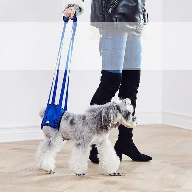 Arnés de soporte para levantamiento de mascota, cinturón auxiliar, correas para mascotas, canina para y transportar , azul XL XL azul Colco Arnés de apoyo para mascotas