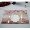 thumbnail image 1 of EREHome Spring wooden planks blurry Placemat Table Mat Cup Mat 12x18 inch,Set of 2, 1 of 2