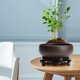 thumbnail image 5 of Wmhnj Macetero hidropnico de cermica china con soporte para plantas acuticas de interior, bonsi, decoracin de oficina y jardn, capacidad de 8 pulgadas., 5 of 7
