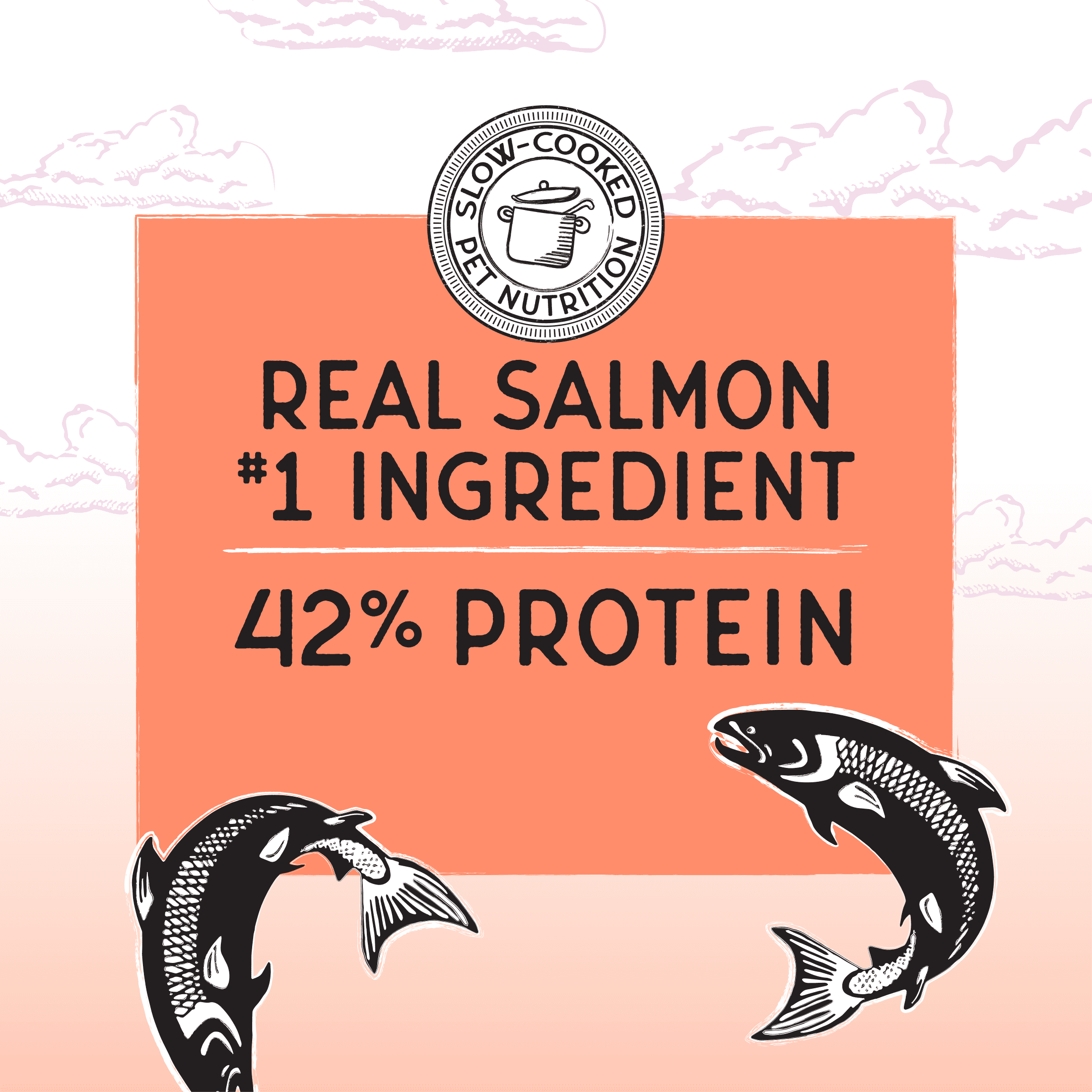 Blackwood Bounty Dry Cat Food Salmon & Trout - 10 lb. - product image