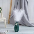 thumbnail image 3 of ievspot 1 Set Artificial Dry Reed Feather Reed Fluffy False Bristle Brush for Floor Vase Bohemian Farmhouse Home Decoration, 3 of 8