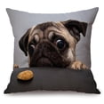 thumbnail image 4 of simhoa Animal Pattern Pillow Case Cushion Cover for Dog Car Sofa Dog 45x45cm, 4 of 8