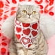 thumbnail image 2 of Bufanda para mascotas, ropa para mascotas para el Día de San Valentín, bufanda para mascotas para gatos y perros, accesorios de tricot para mascotas, decoraciones para el Día de San Valentín, 2 of 7