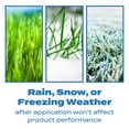 thumbnail image 3 of Scotts Halts Crabgrass & Grassy Weed Preventer 20.12 lb., 3 of 11