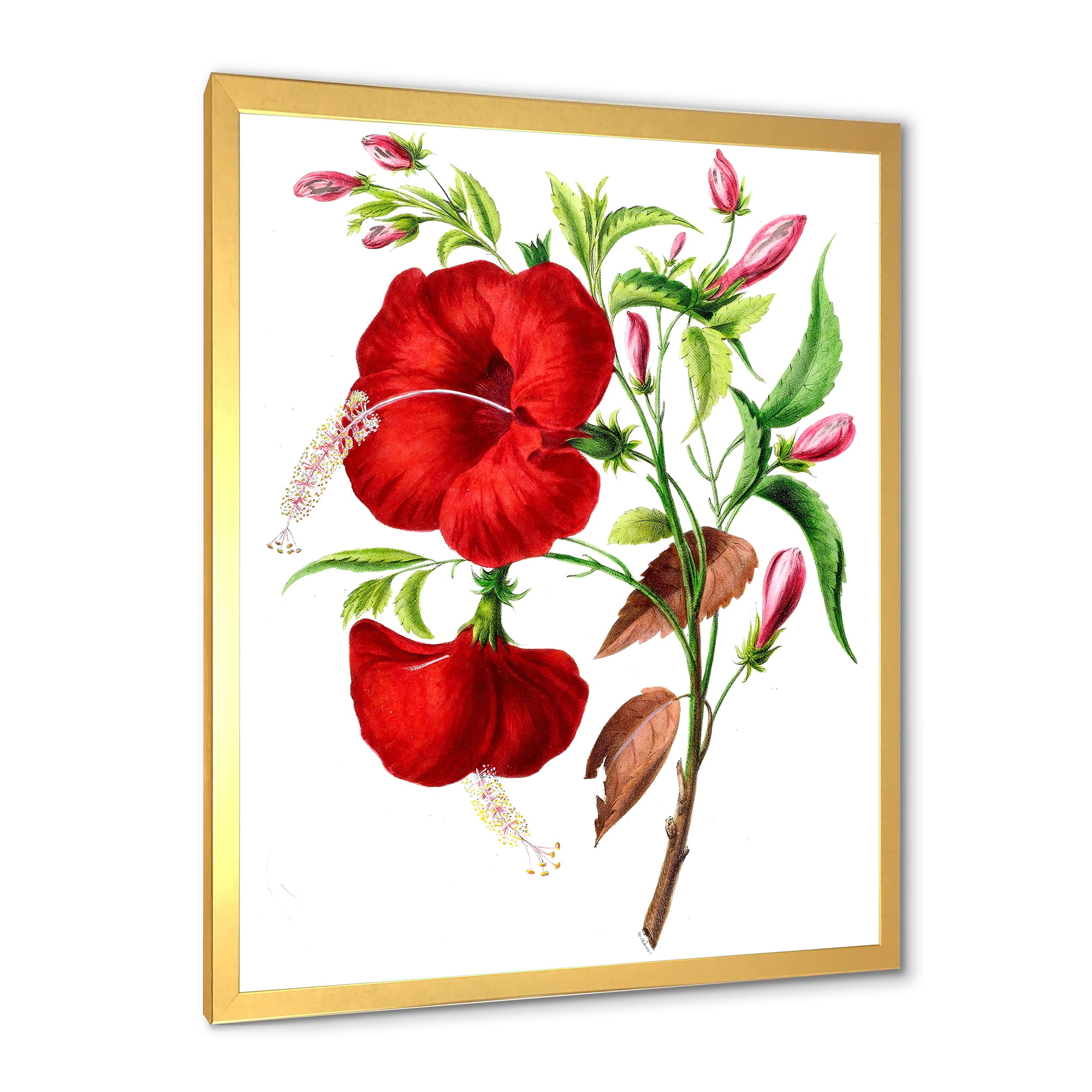 Designart 'Ancient American Flora I' Traditional Framed Art Print