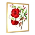 thumbnail image 2 of Designart 'Ancient American Flora I' Traditional Framed Art Print, 2 of 4