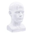 thumbnail image 1 of Cabeza de maniquí de realista Cabeza de exhibición Maniquí blanco Sunnimix pelucas cabeza de maniquí, 1 of 8
