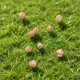 thumbnail image 5 of 50Piece Luminous Mini Ornament Set 6 Styles Of GlowintheDark Resin Mushrooms Ideal For Garden Potted Plants And Home DIY Decor, 5 of 6