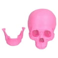 thumbnail image 4 of Fake Skull, Skull Head Decor Pink Halloween  For Home Decoration, 4 of 8