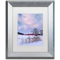 Trademark Fine Art "Cat O'Nine In Snow" Canvas Art by Michael Blanchette Photography White Matte, Silver Frame