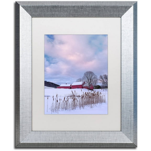 Trademark Fine Art "Cat O'Nine In Snow" Canvas Art by Michael Blanchette Photography White Matte, Silver Frame