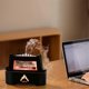 thumbnail image 5 of Simulation Raindrop Flame Aromatherapy Air Humidifier Essential Oil Diffuser for Home Diffusor Black EU Plug, 5 of 5