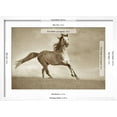 thumbnail image 5 of Art.com Like the Wind Photographic Print by Lisa Dearing, White Frame Wall Art, 23" x 17", 5 of 5