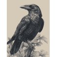 thumbnail image 1 of Qisvanset Black Raven Canvas Print 12x16 Inch Bar Hallway Decor, 1 of 8