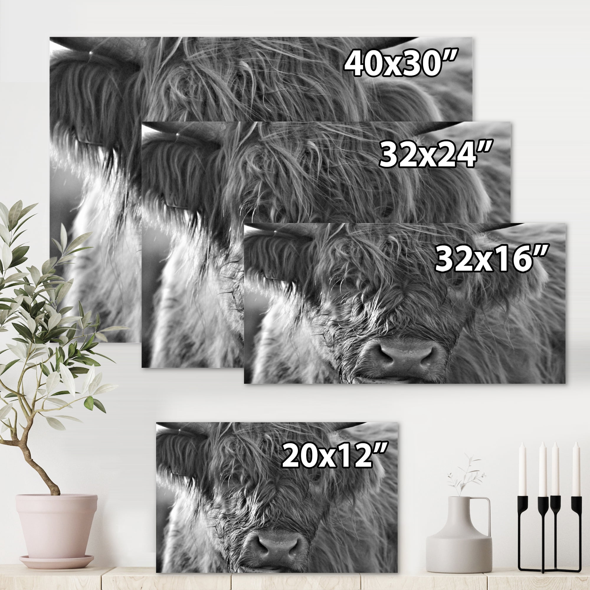 Designart ' Close Up Scottish Highland Cows Living On Moorland ' Farmhouse Canvas Wall Art Print