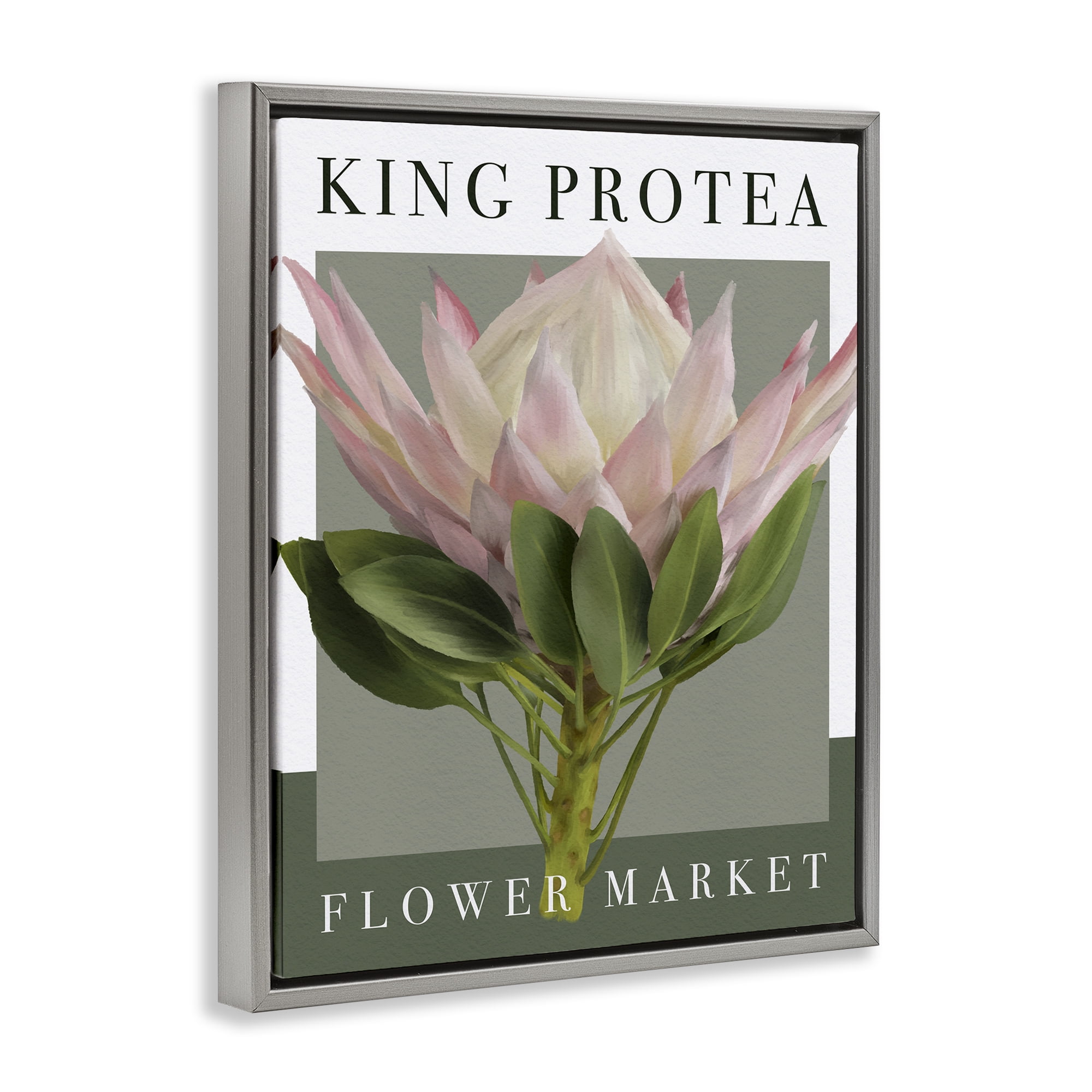 Stupell Industries King Protea Flower Market Gray Framed Floater Canvas Wall Art, design by Jennifer Stith