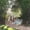 The Parc Monceau 1878, variant on Elephant Stock The Artist's Garden At Vetheuil 1881 Wall Art - Vertical Canvas Wall Art - Living Room Wall Decor - Nature Canvas - Gray And Green Decor By Claude Monet - 8" x 12"