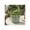 Green, variant on Elegant Round Flower Pots for Home Decor - Modern Stoneware Ceramic Planter with Leaf Rim Design for Indoor and Outdoor Planter - Decorative Garden Plants Accent for Shelf Styling - 5", Blue
