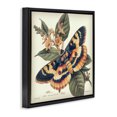 thumbnail image 3 of Stupell Industries Traditional Black Floating Frame Canvas Art, 18 x 18, by Steve Hunziker, 3 of 8