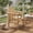 Natural, variant on Demi Bonn Natural Pine and Fir Wood Outdoor Dining Armchair, High-Back Patio Chair with Comfortable Armrests, 330 lb Capacity, Natural