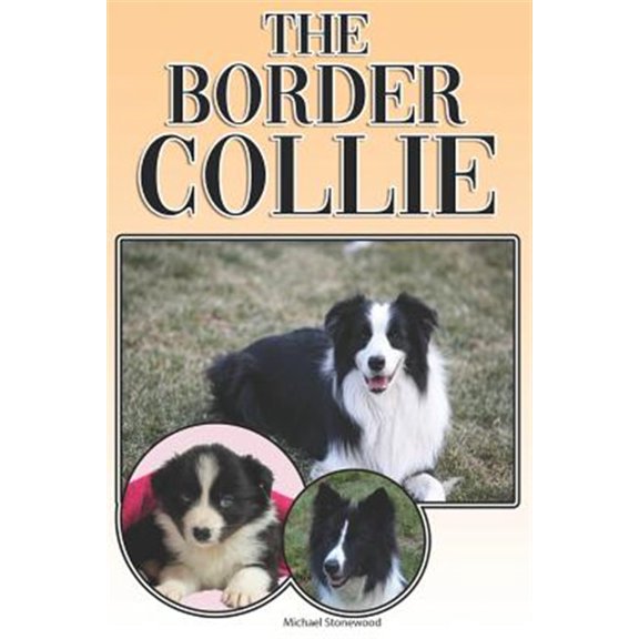 Pre-Owned The Border Collie (Paperback)